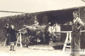 Ox being roasted for celebrations of Coronation of George VI, 1937