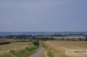 Broad Lane above Thorley