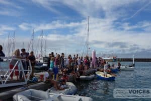 Carnival 2013, Harbour Sports. Men's Sculling, winner, Rob Bird